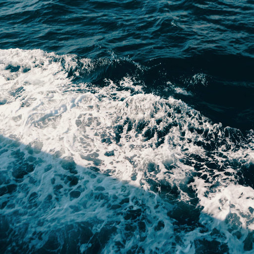 淑女隐忍憋尿by白夜飞行
